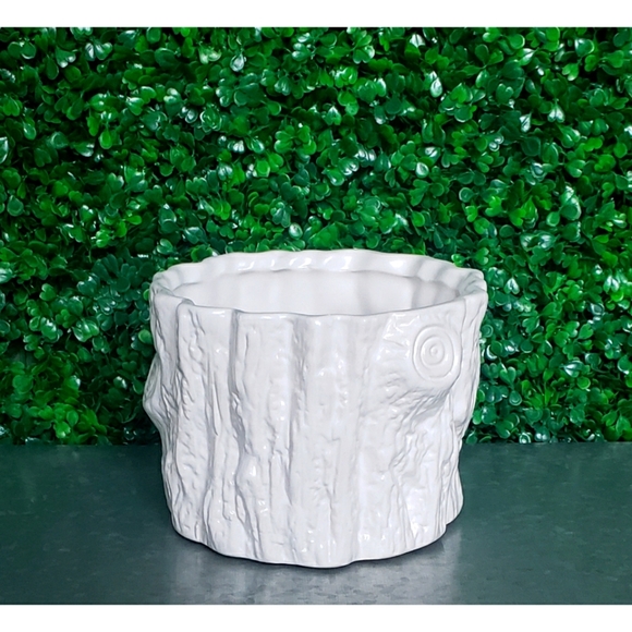 NWOT Ceramic Planter - Picture 2 of 6